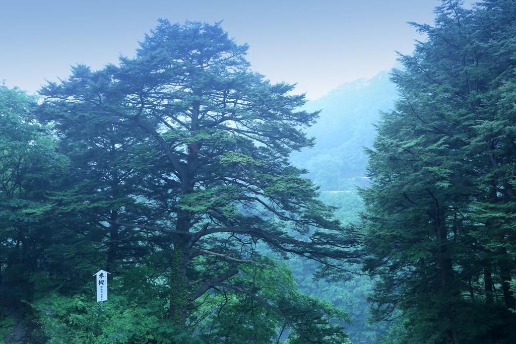 Hotel Tsuganoki Nikko Exteriér fotografie